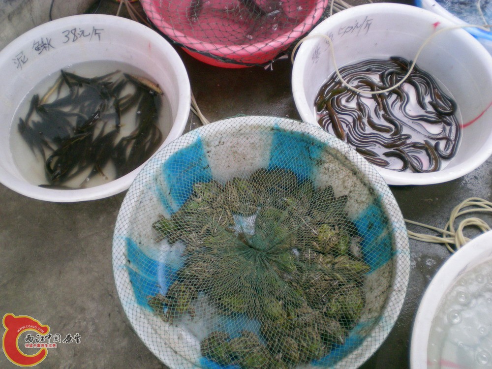 2010 0501 060.jpg