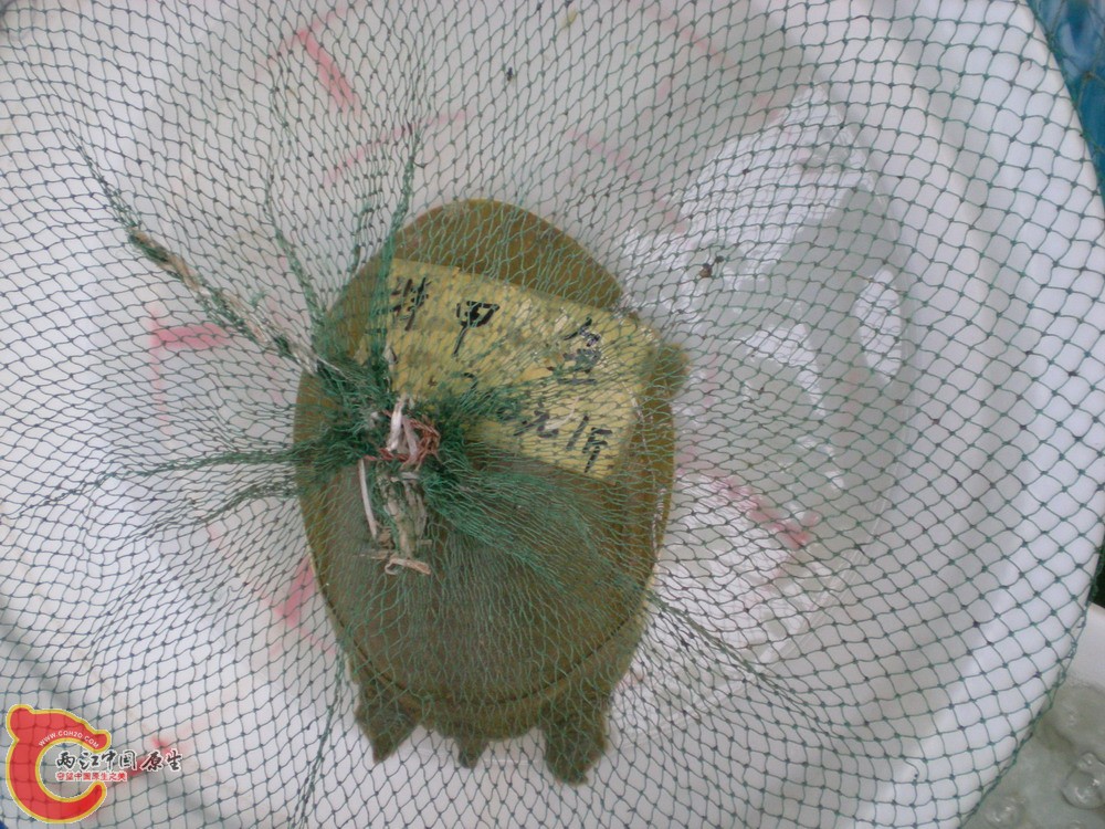 2010 0501 051.jpg
