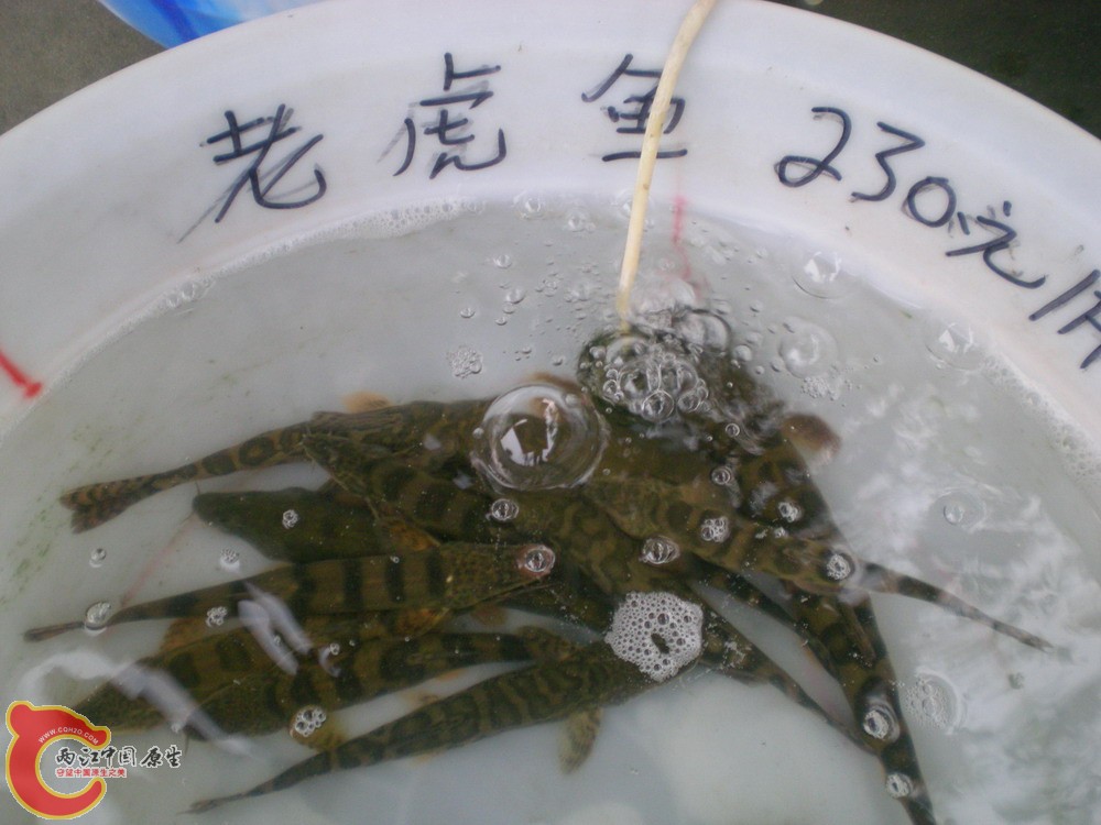 2010 0501 054.jpg