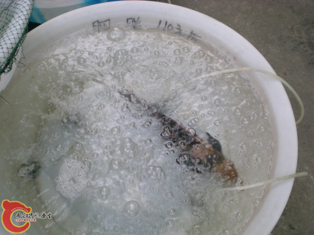 2010 0501 049.jpg