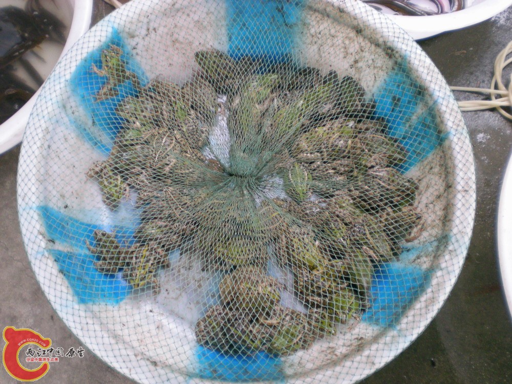 2010 0501 048.jpg