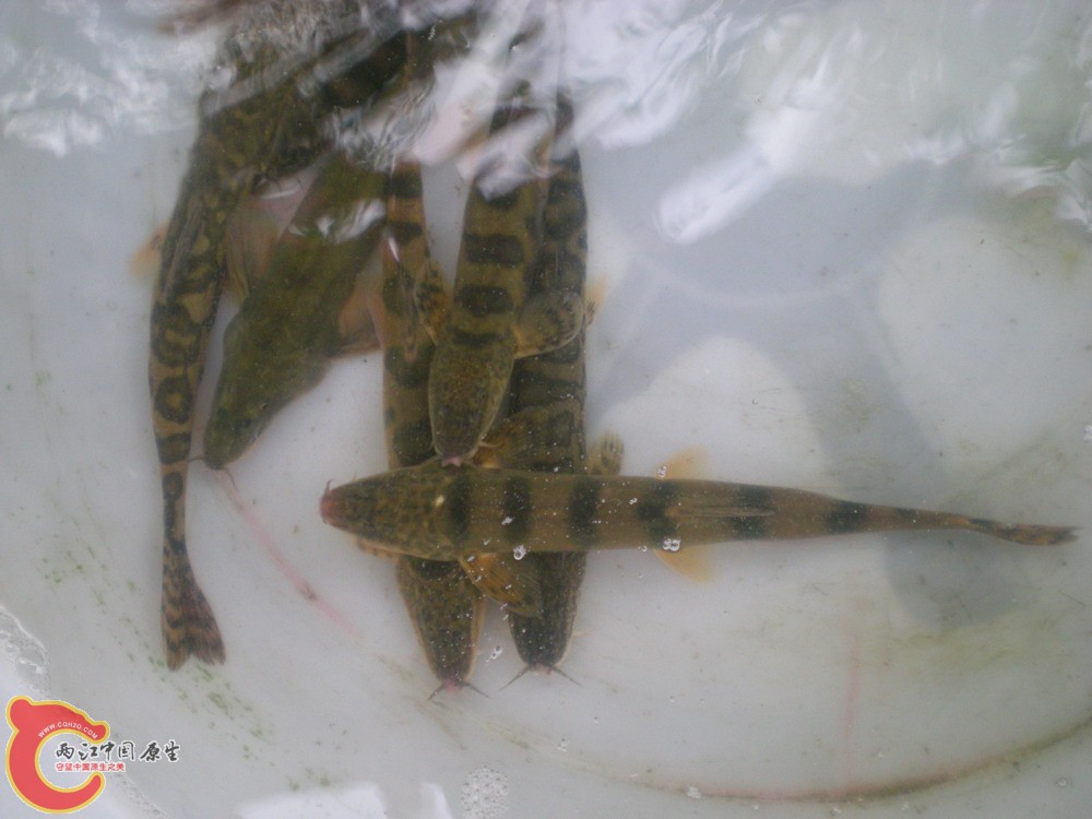 2010 0501 045.jpg