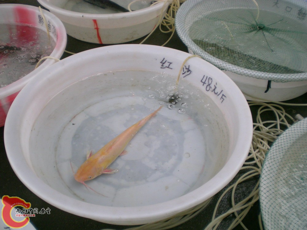 2010 0501 050.jpg