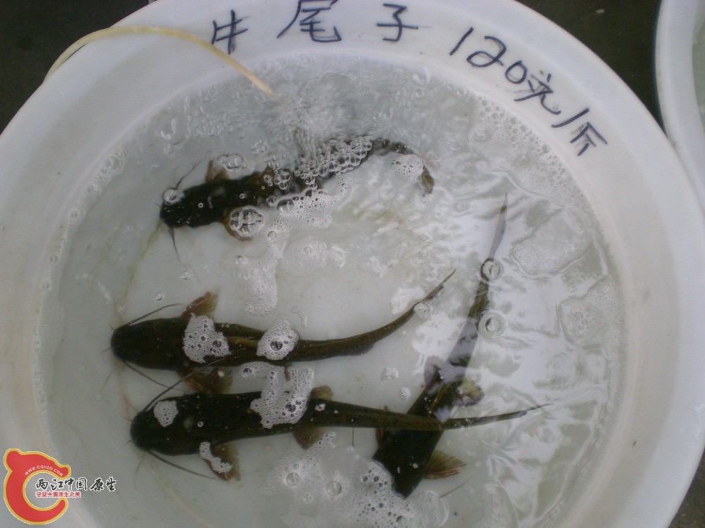 2010 0501 052.jpg
