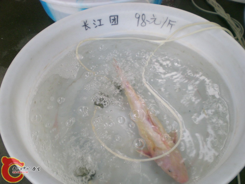 2010 0501 056.jpg