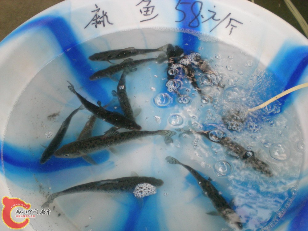 2010 0501 055.jpg