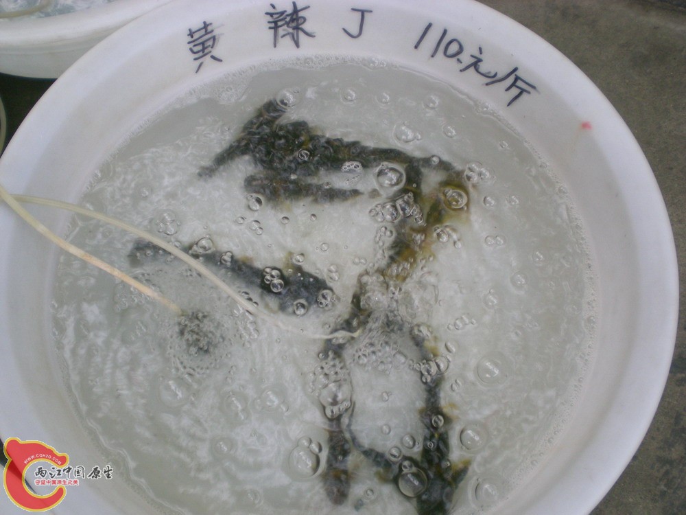 2010 0501 053.jpg