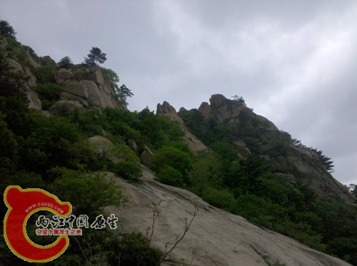 2010-05-24 08.39.53.jpg