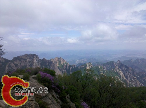 2010-05-24 12.09.50.jpg