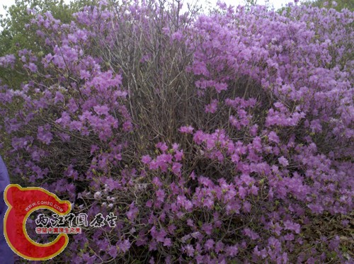 2010-05-24 12.43.10.jpg