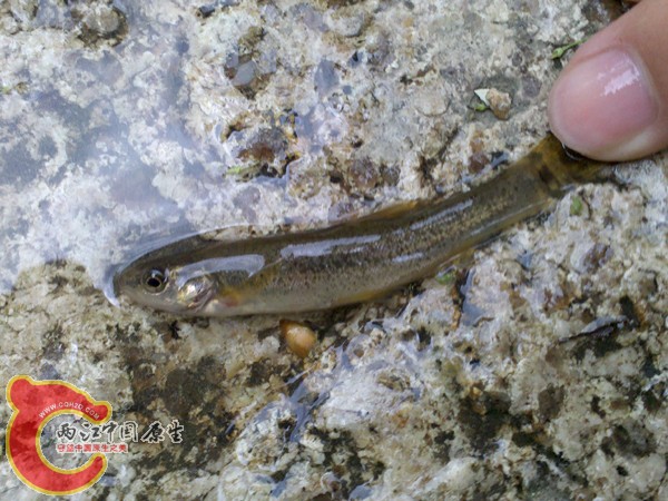 2010-05-24 15.21.50.jpg
