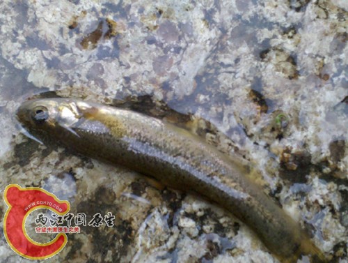 2010-05-24 15.22.02.jpg