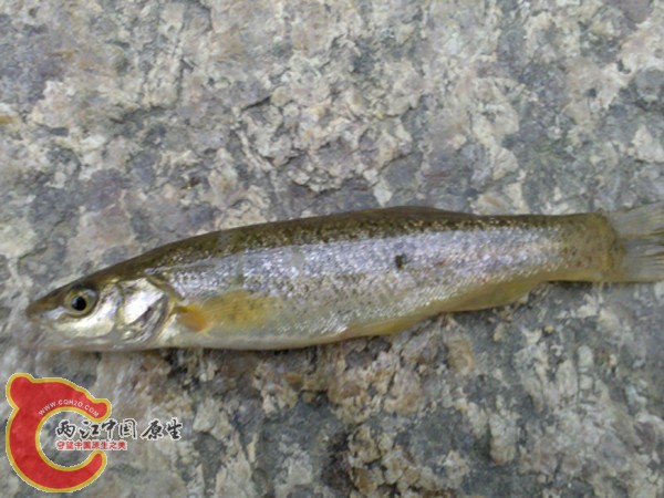 2010-05-24 15.26.25.jpg