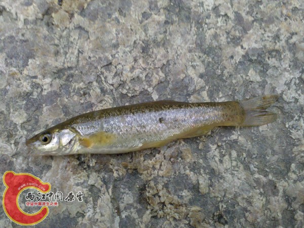 2010-05-24 15.26.30.jpg