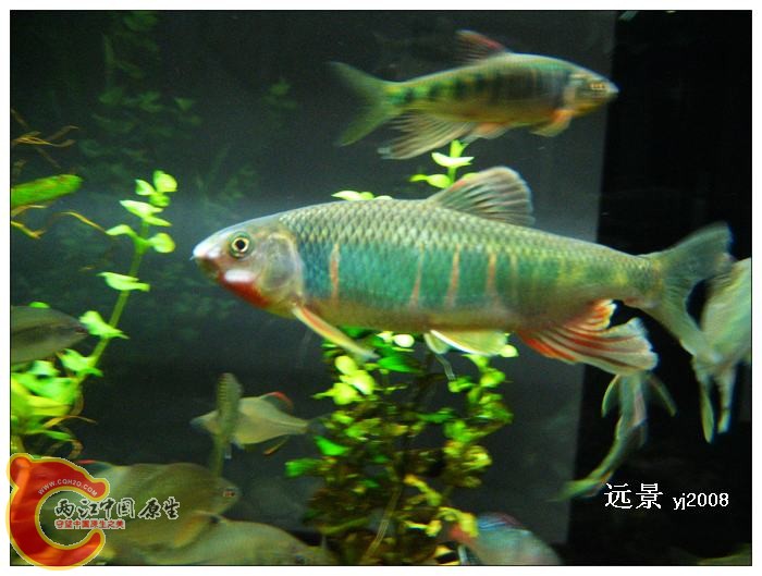 nEO_IMG_IMG_4600.jpg