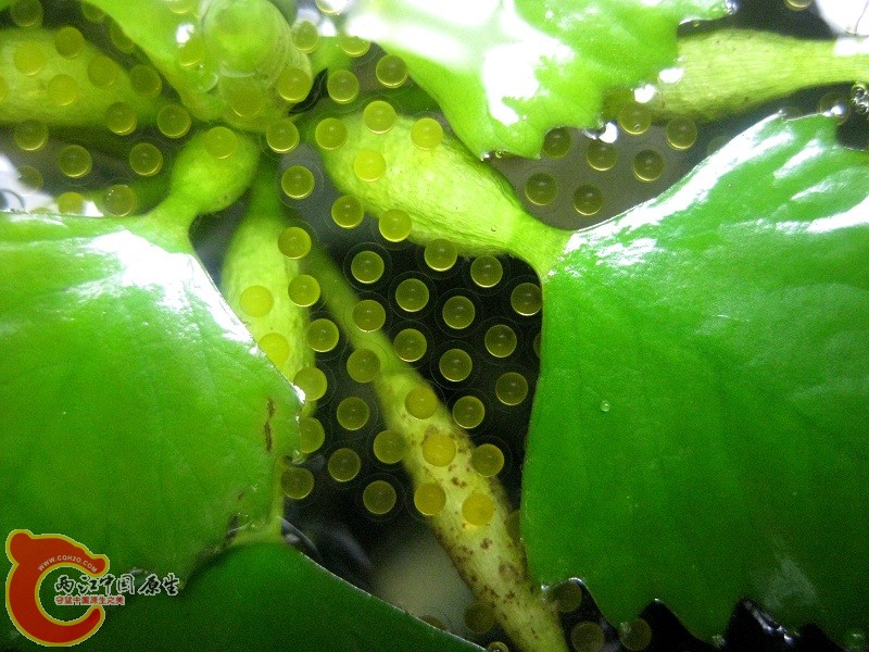 照片 004.jpg