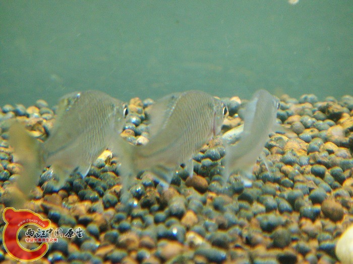 DSC02666.jpg