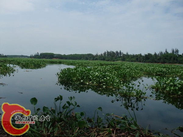 风景B06.jpg