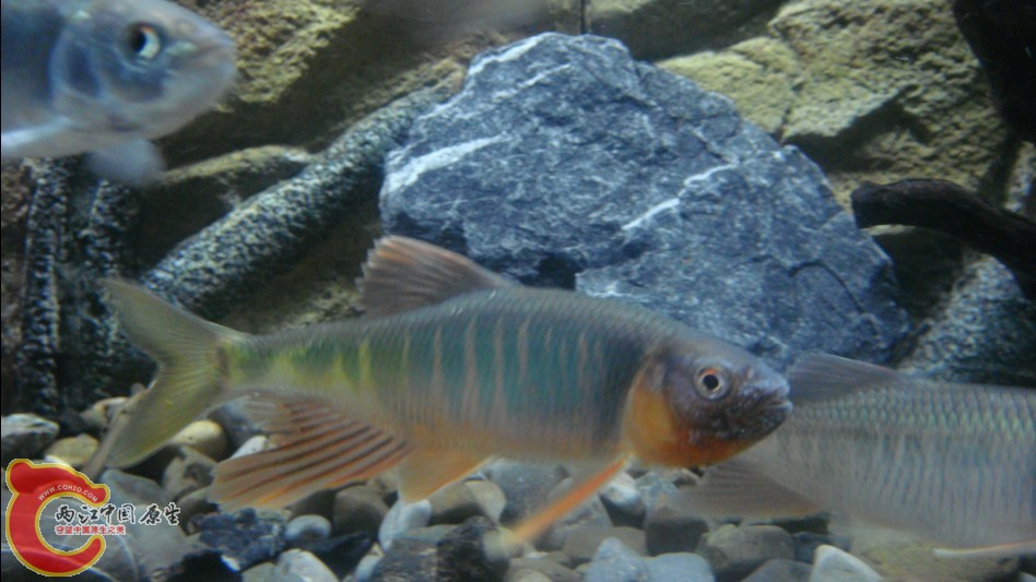 kuan10.jpg