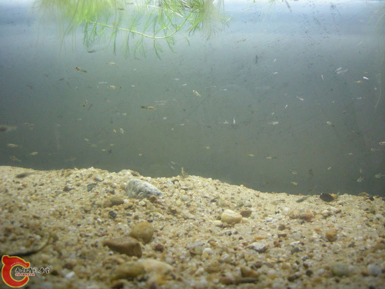 DSCN5853.JPG