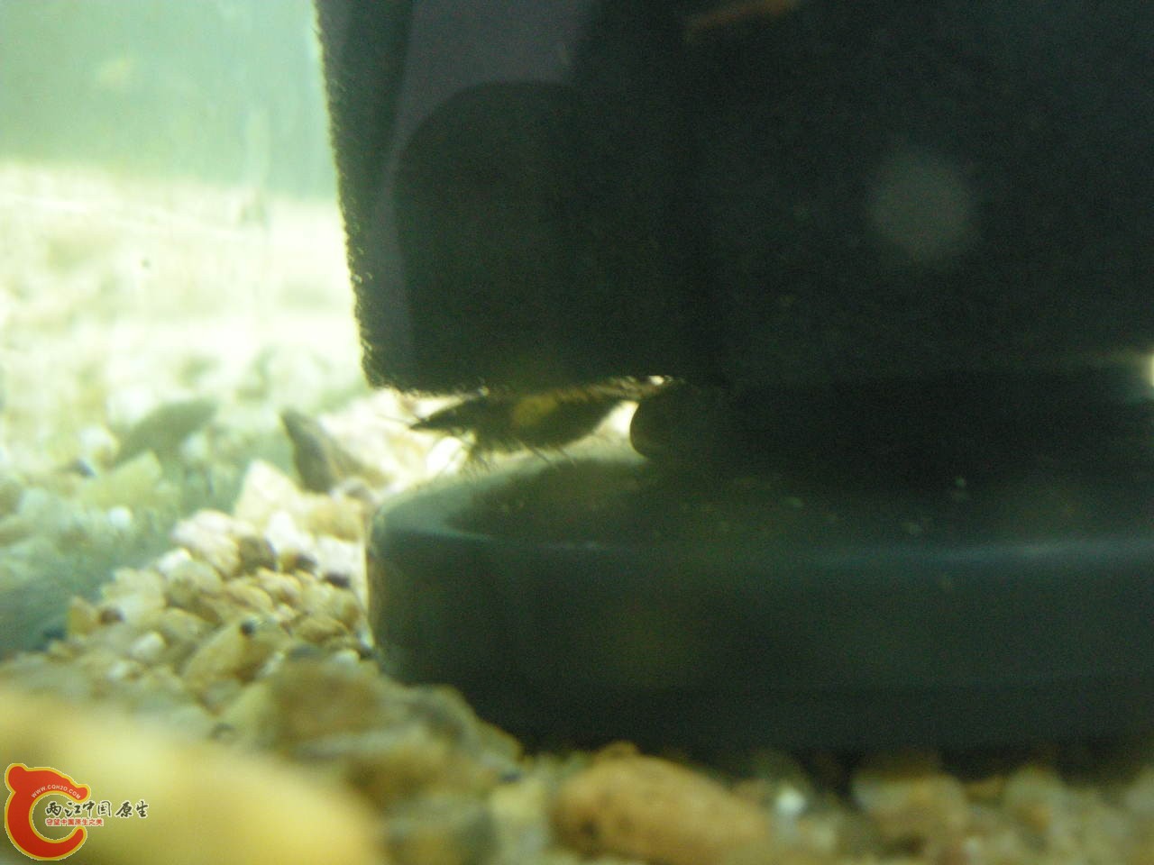 DSCN5861.JPG