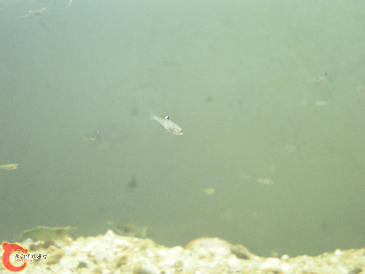DSCN5864.JPG
