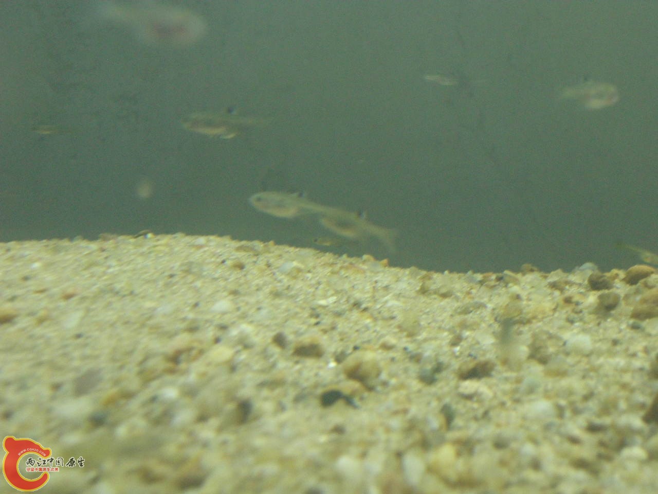 DSCN5858.JPG