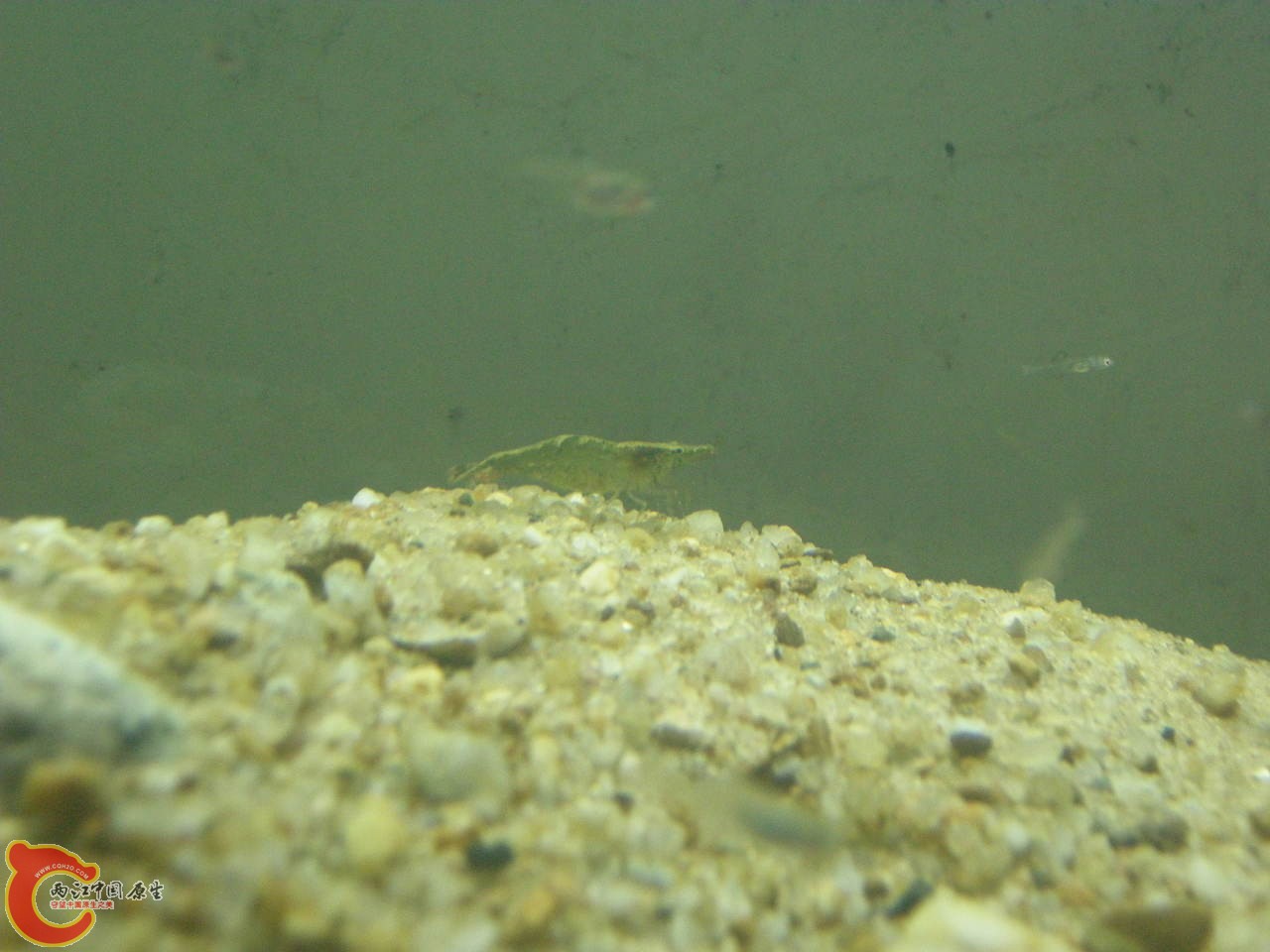 DSCN5869.JPG