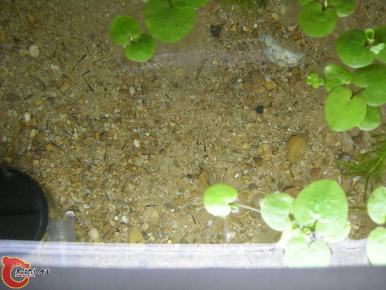 DSCN5881.JPG