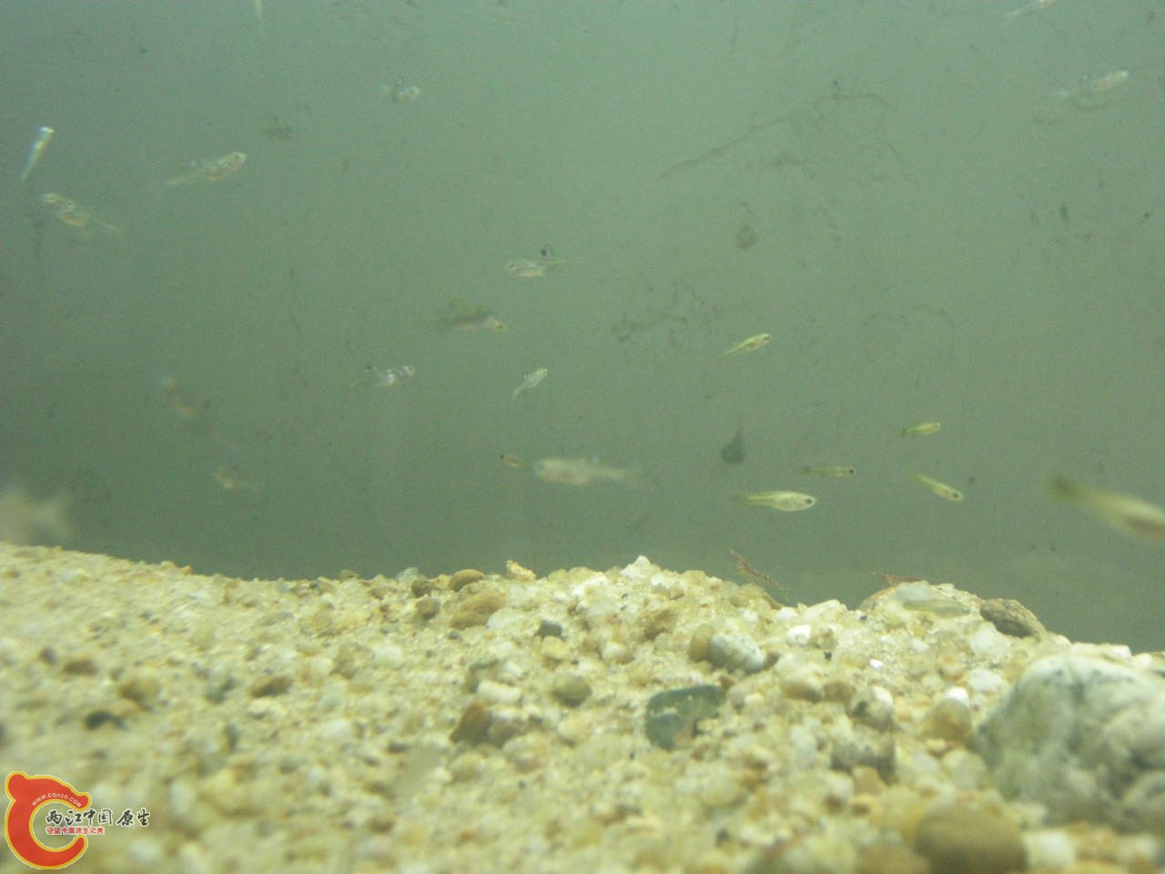 DSCN5884.JPG
