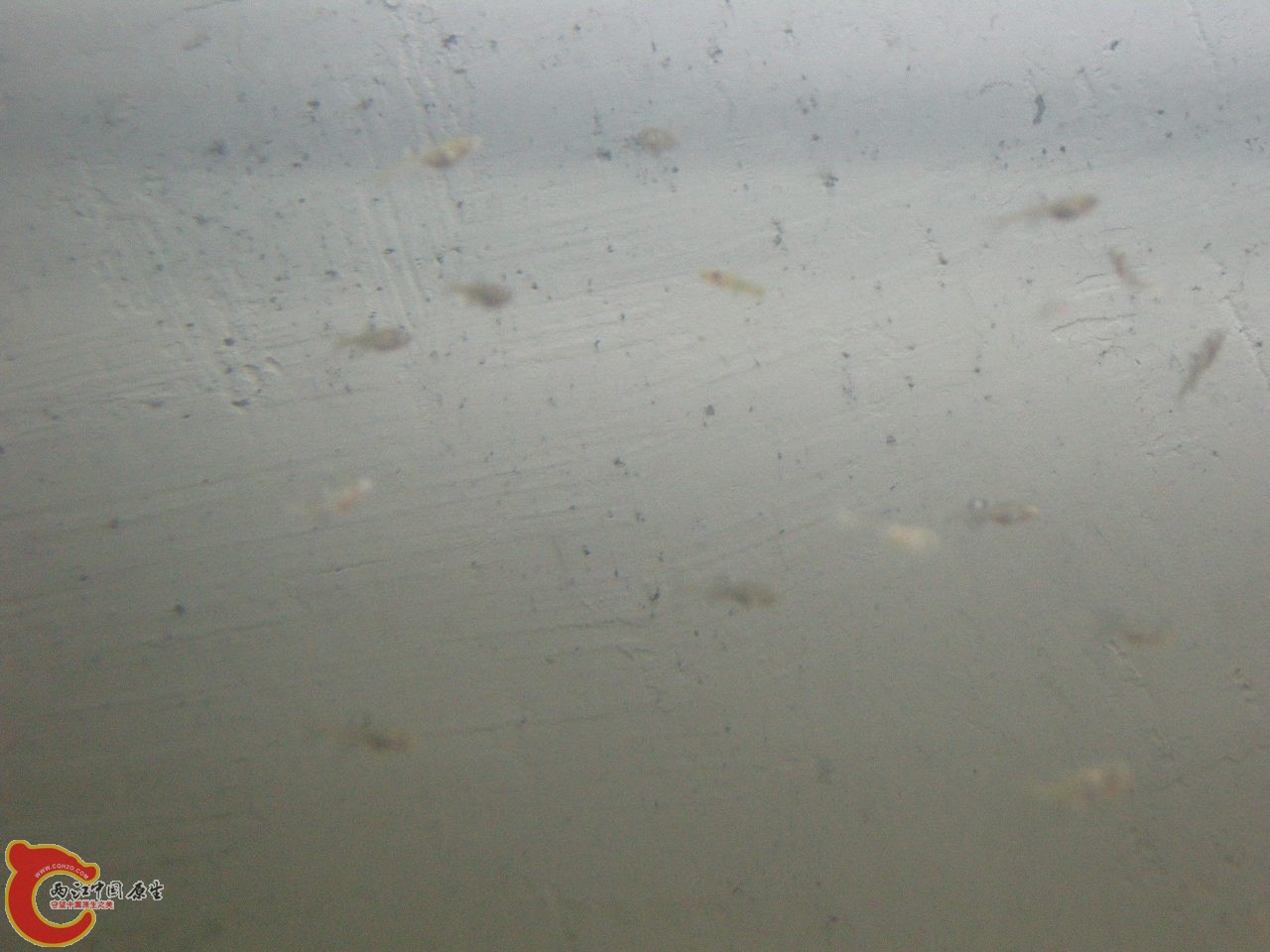 DSCN5879.JPG