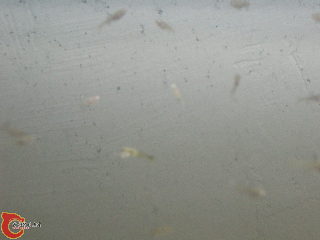 DSCN5880.JPG