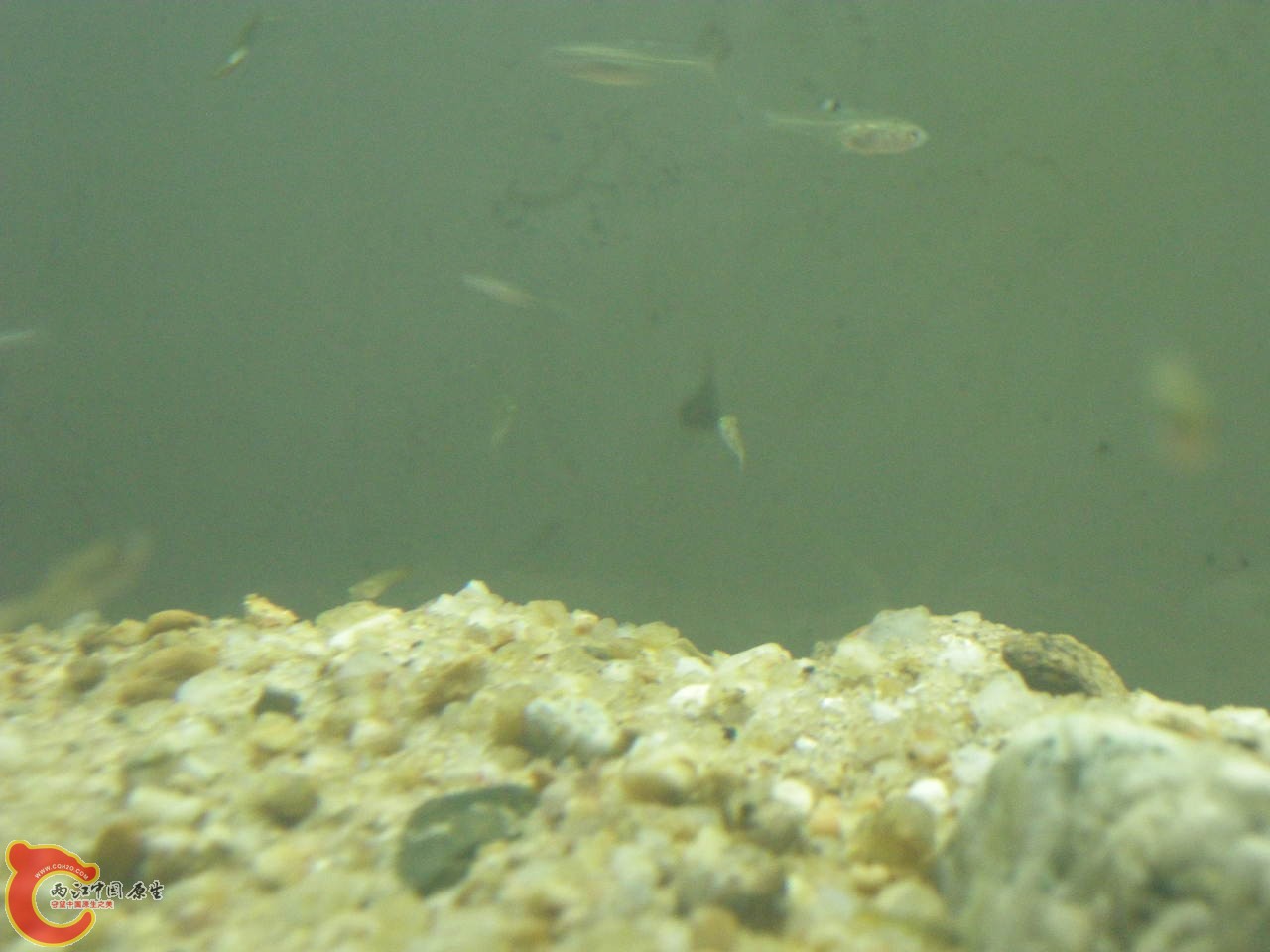 DSCN5870.JPG