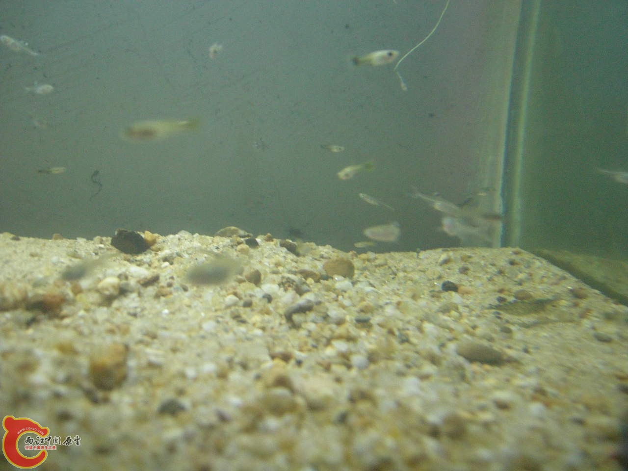 DSCN5867.JPG
