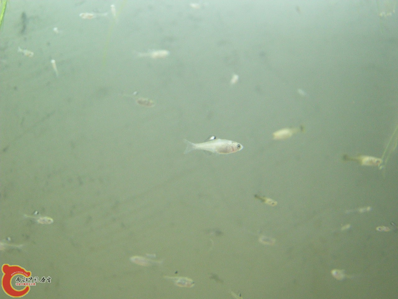DSCN5866.JPG