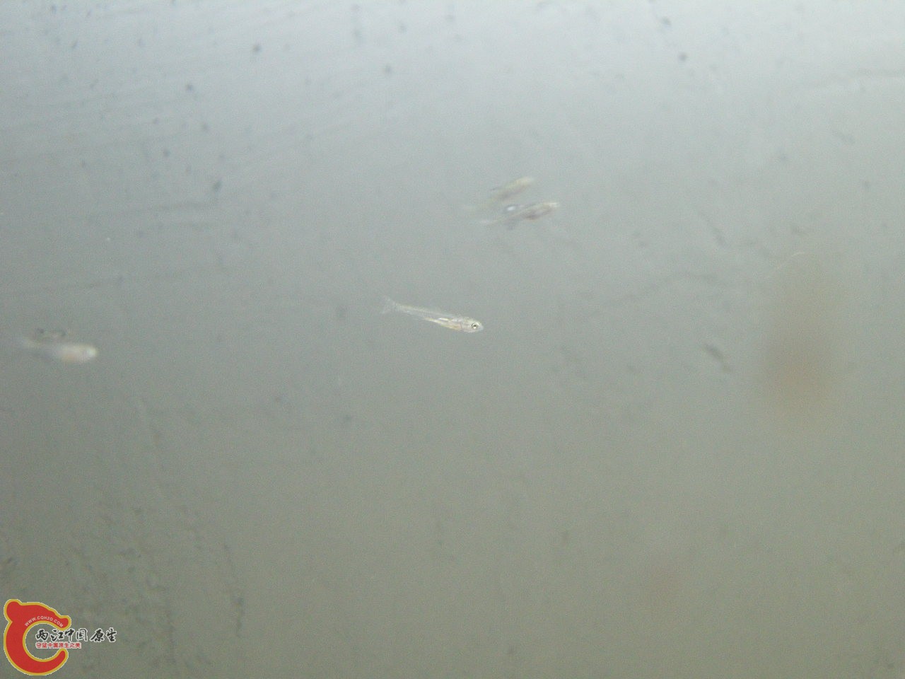 DSCN5875.JPG