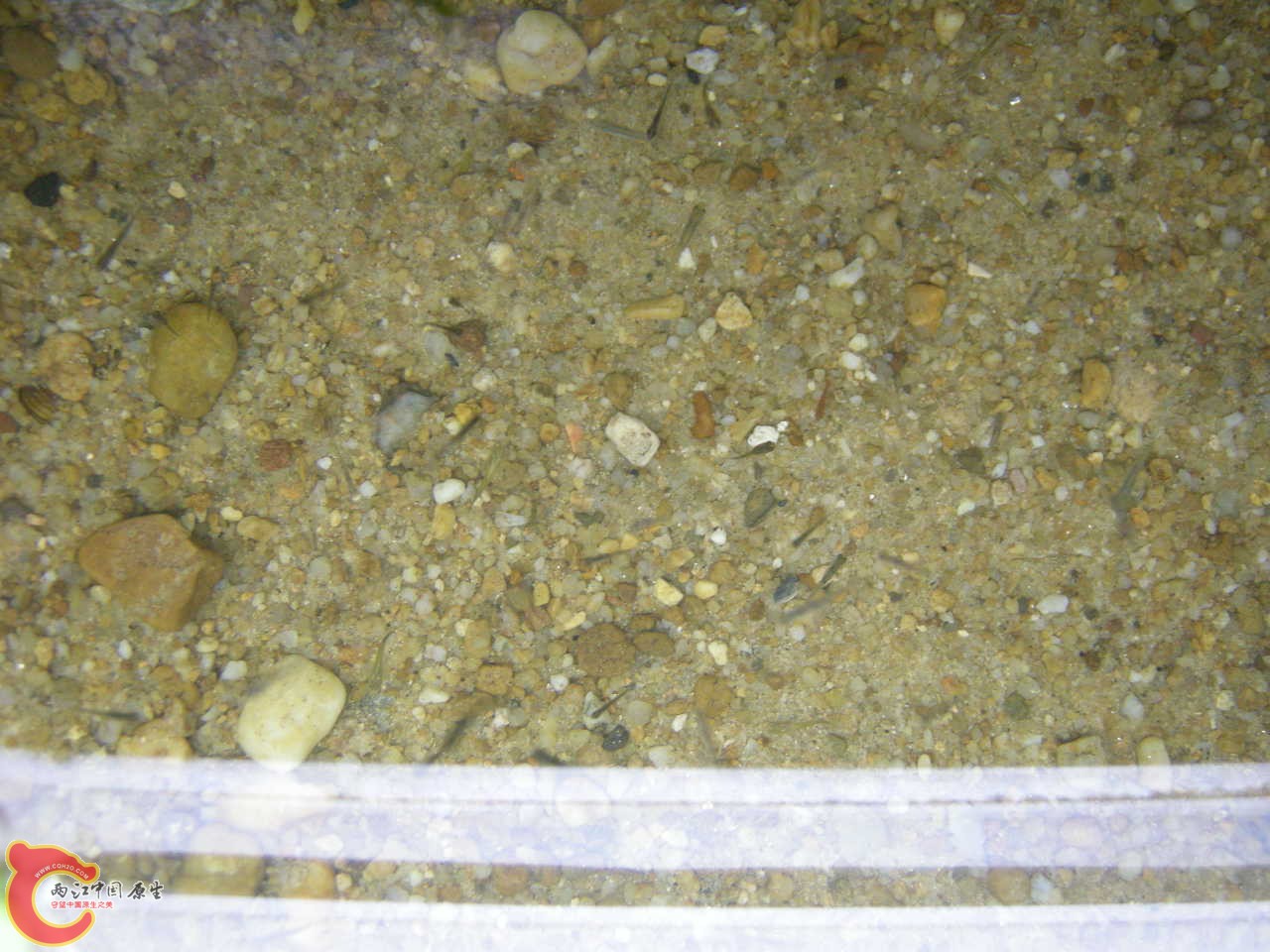 DSCN5883.JPG