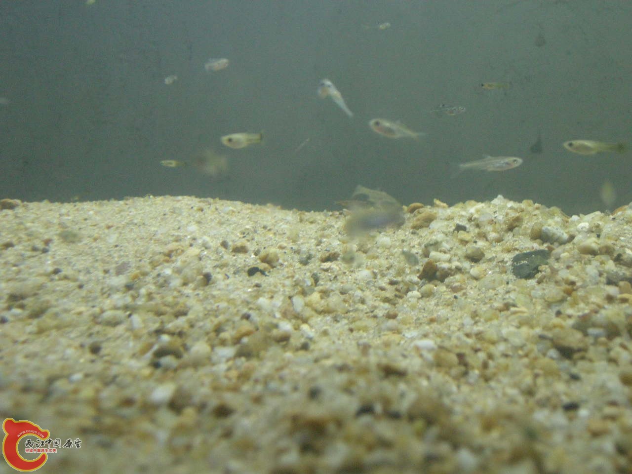 DSCN5888.JPG
