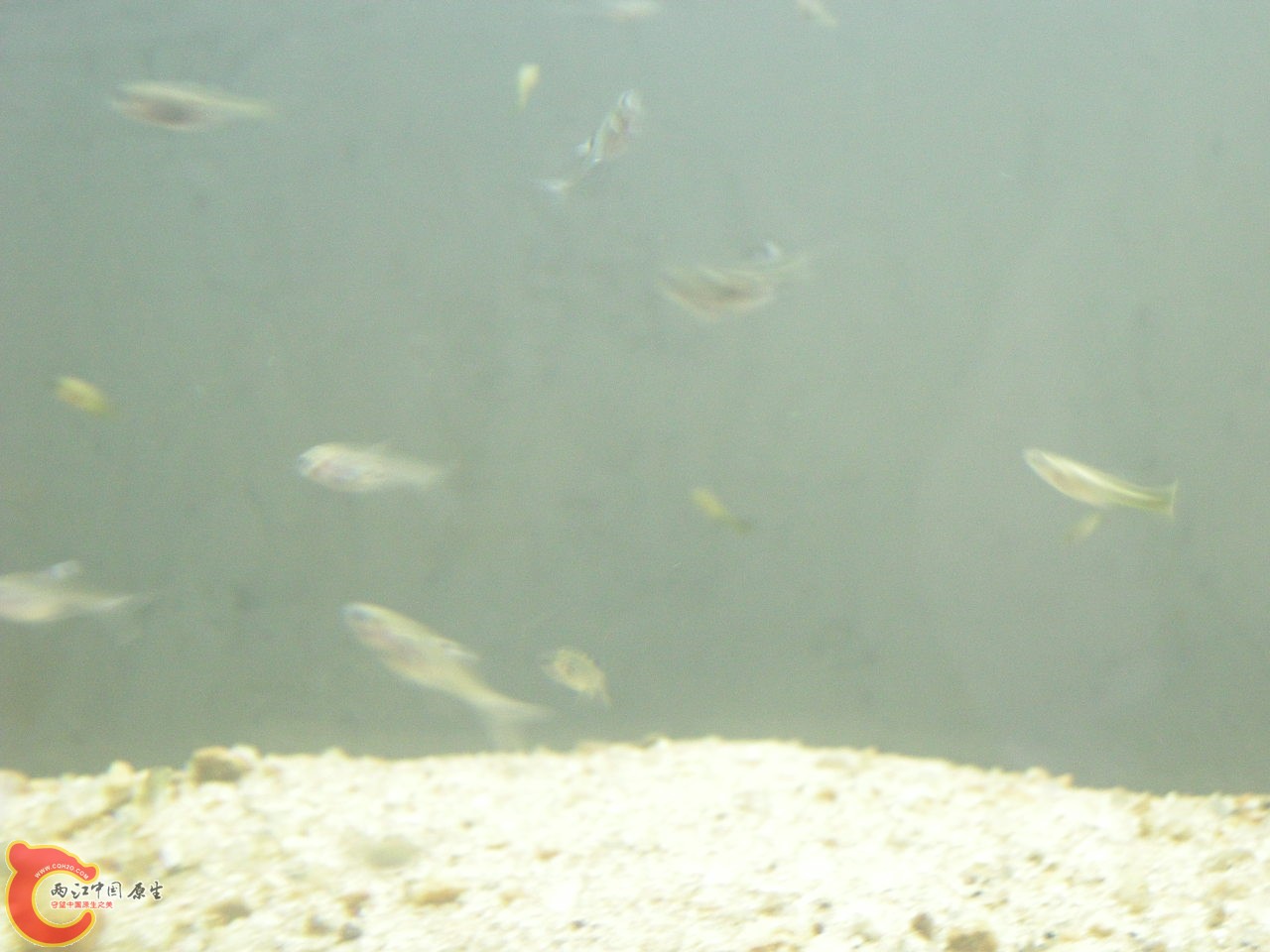 DSCN5886.JPG