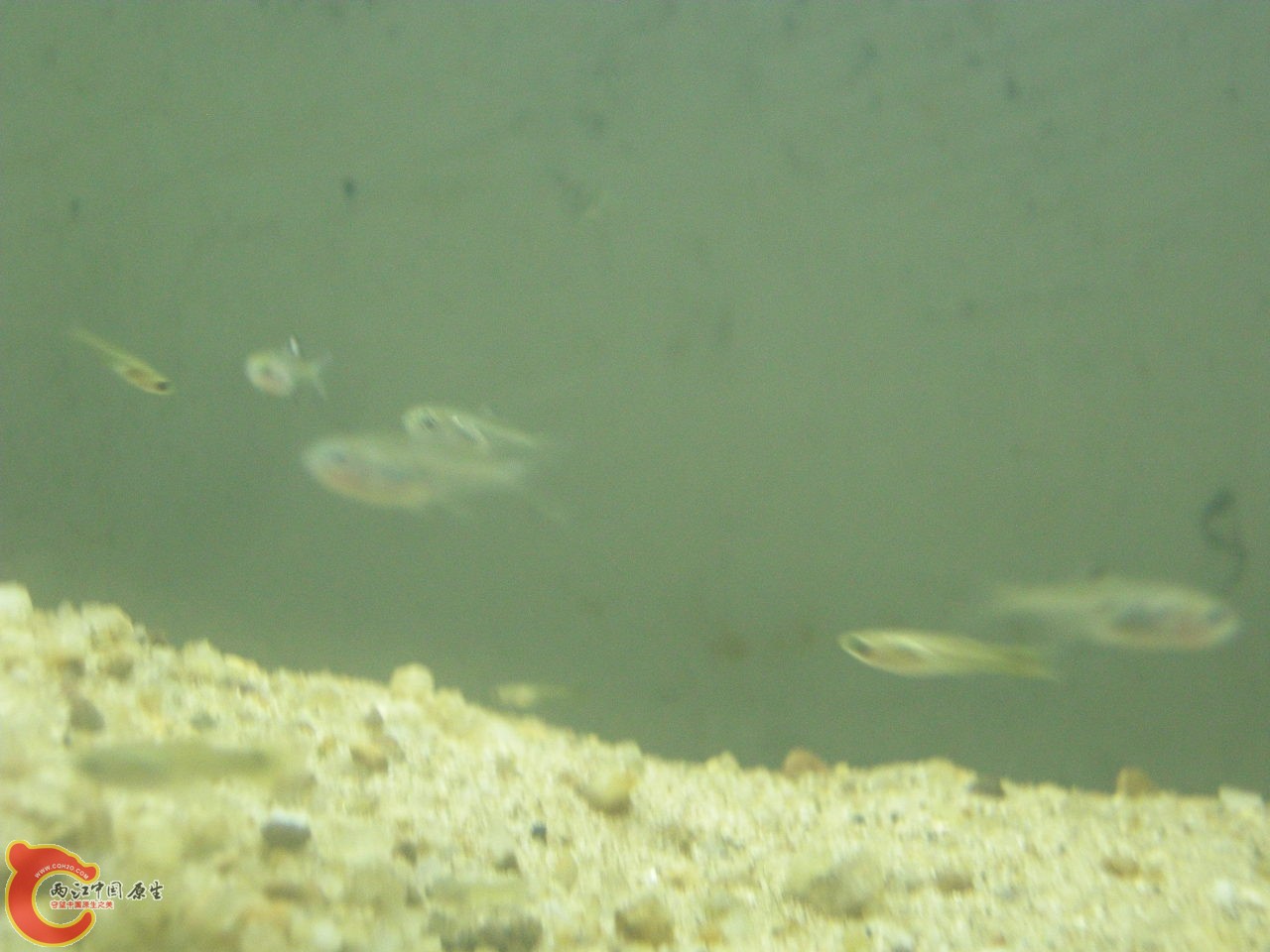 DSCN5885.JPG