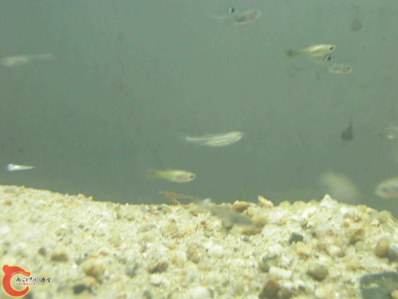 DSCN5887.JPG