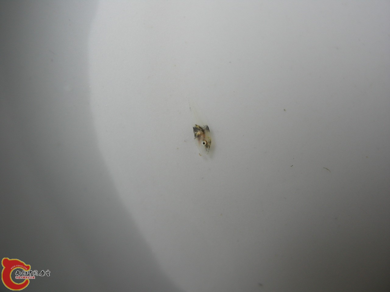 DSCN5923.JPG