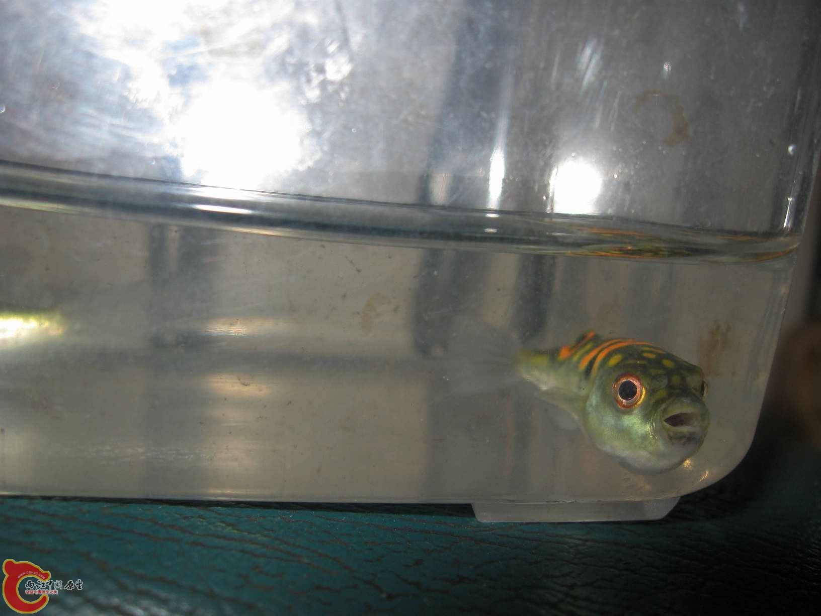 调整大小 照片 105.jpg