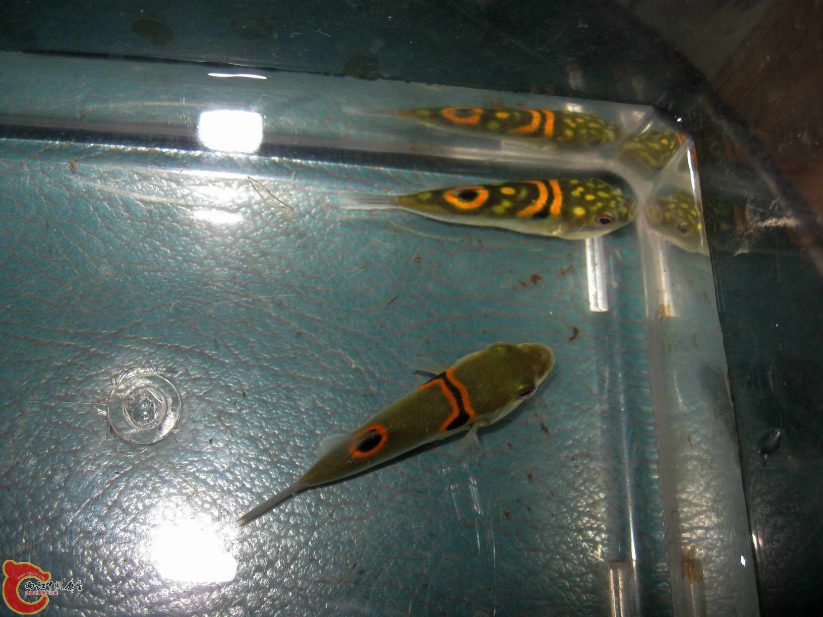 调整大小 照片 115.jpg