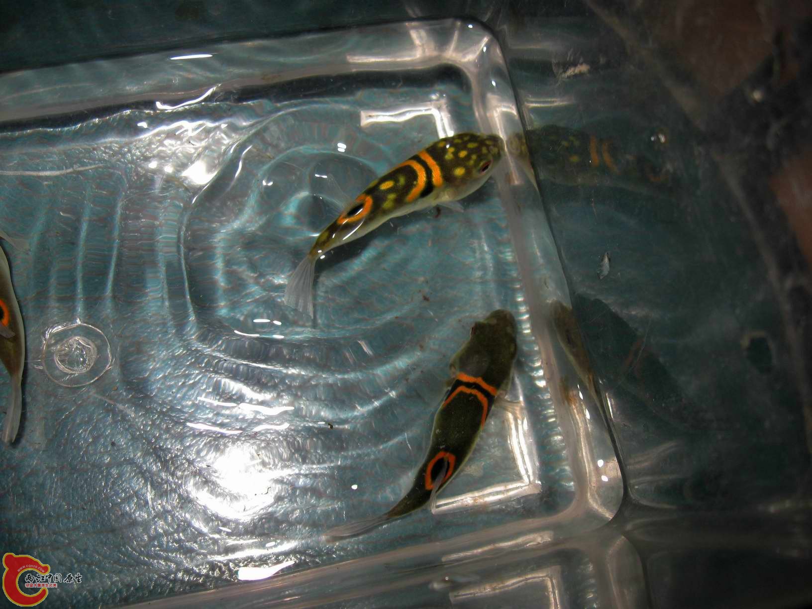 调整大小 照片 104.jpg