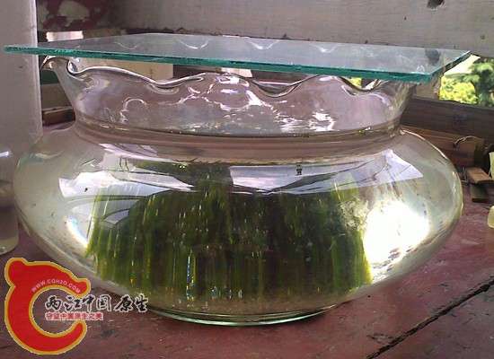 20100601982.jpg