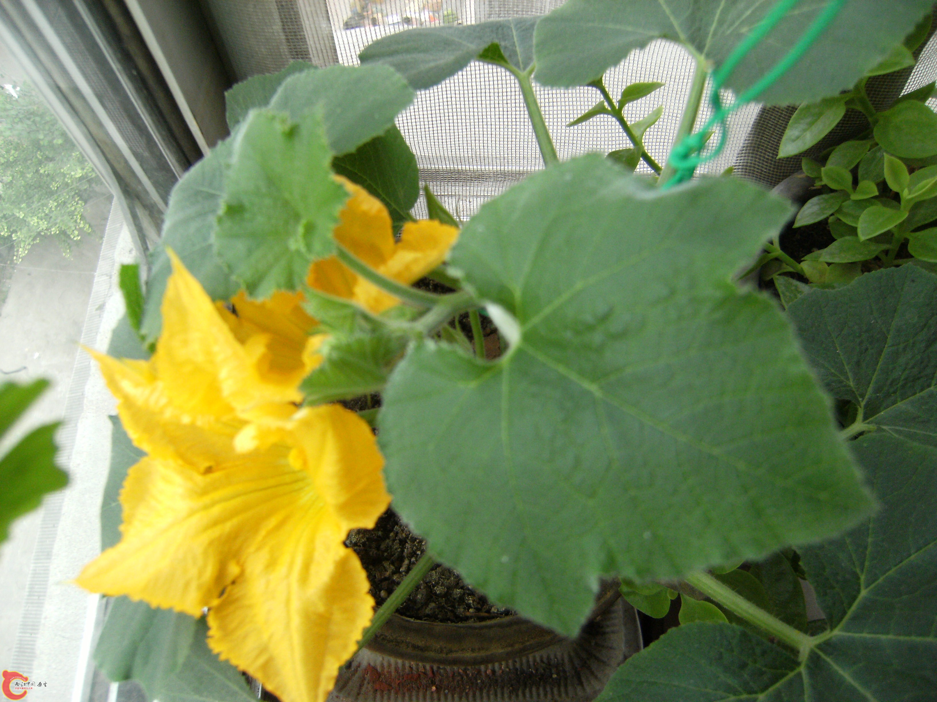 DSCF5070.JPG