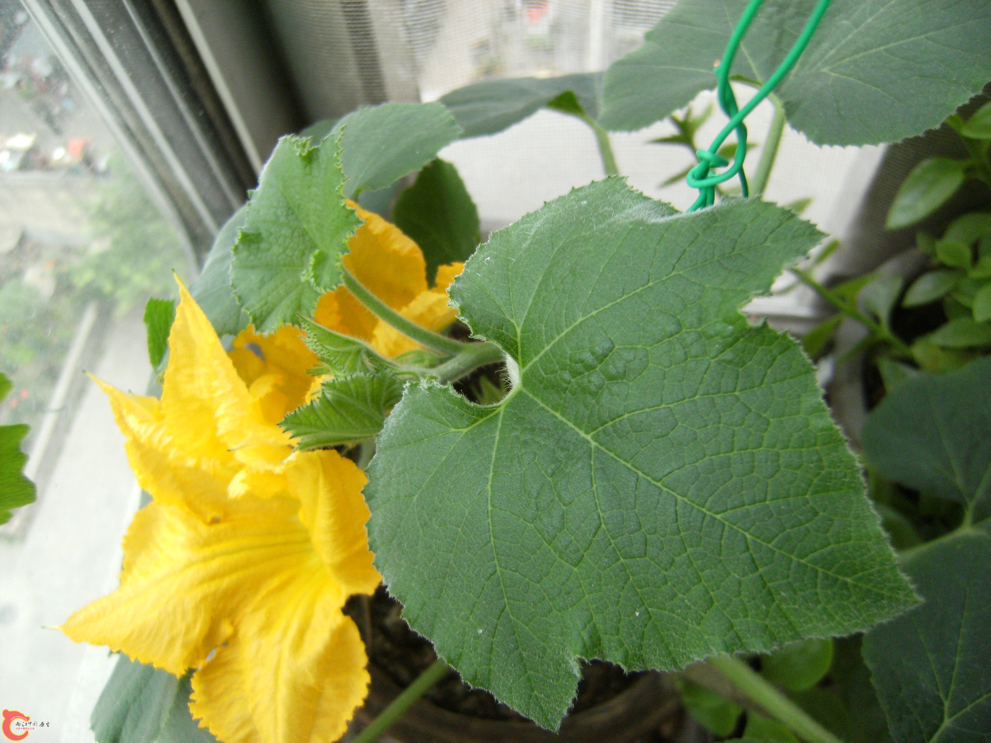 DSCF5071.JPG