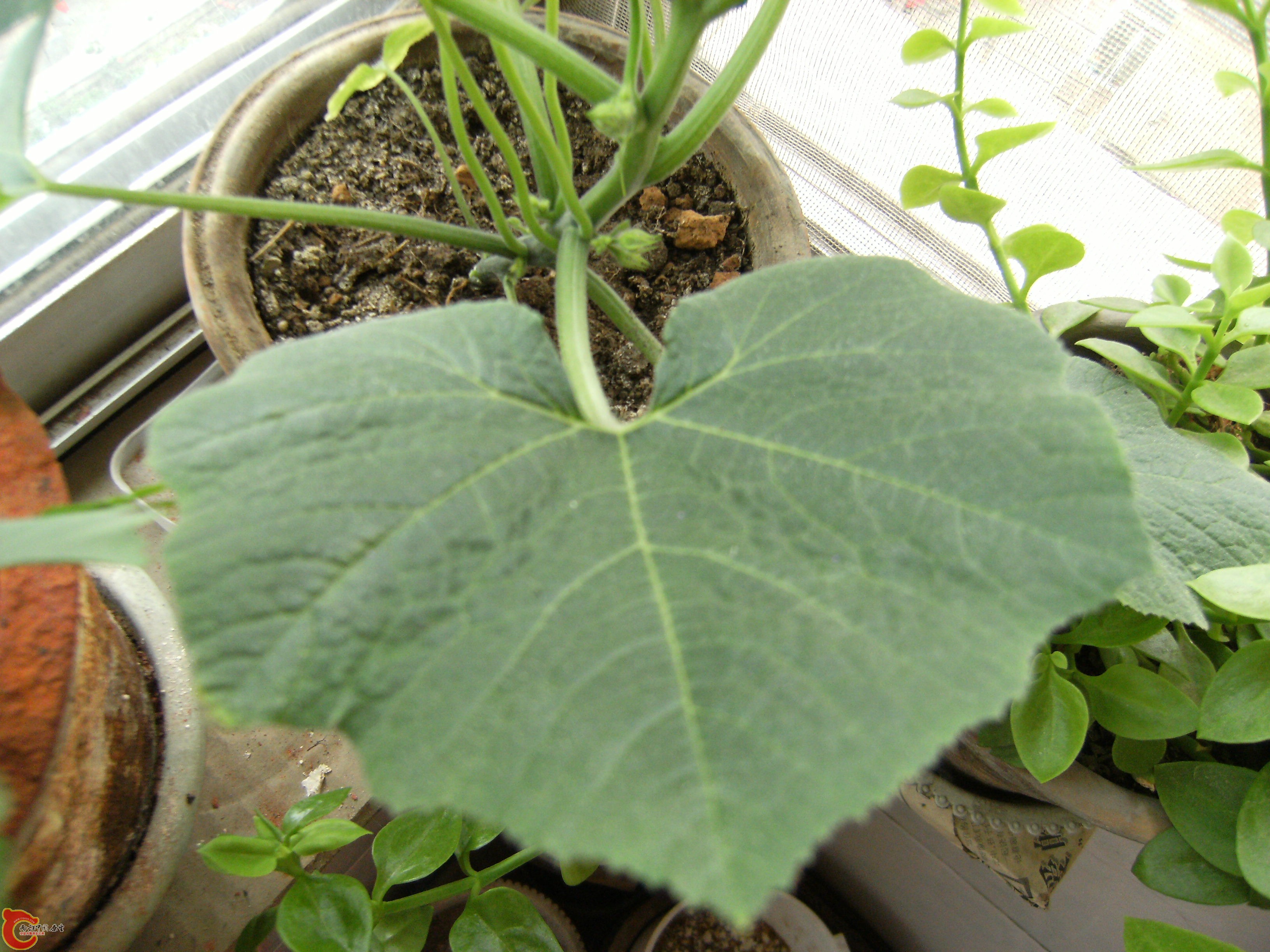DSCF5075.JPG