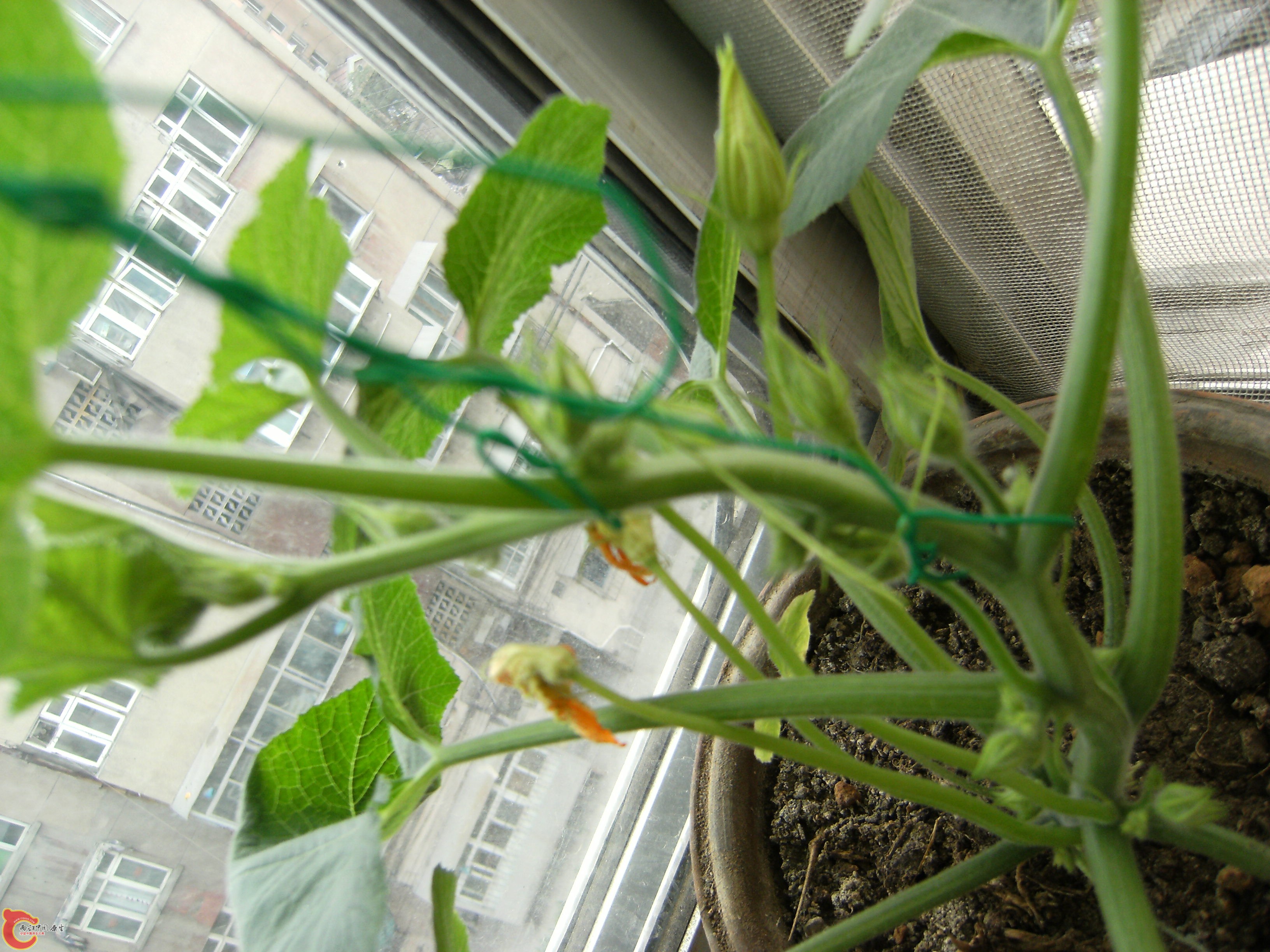 DSCF5074.JPG